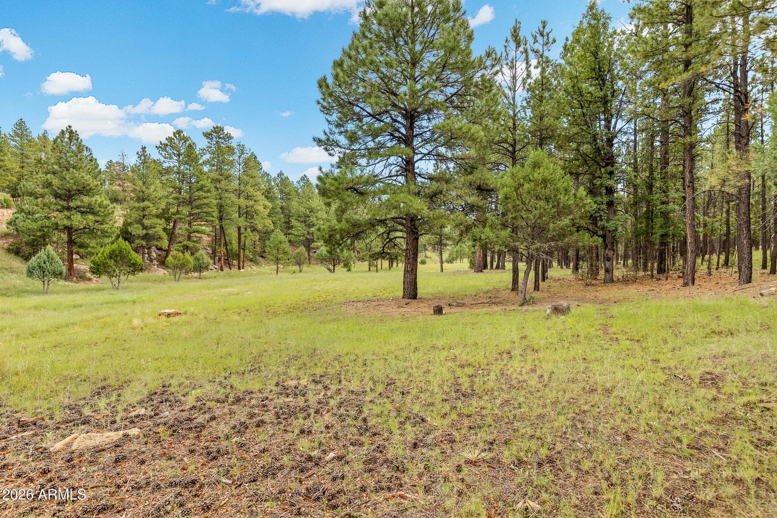 3579 Starlight Drive, Happy Jack, AZ 86024 — photo 58 of 59