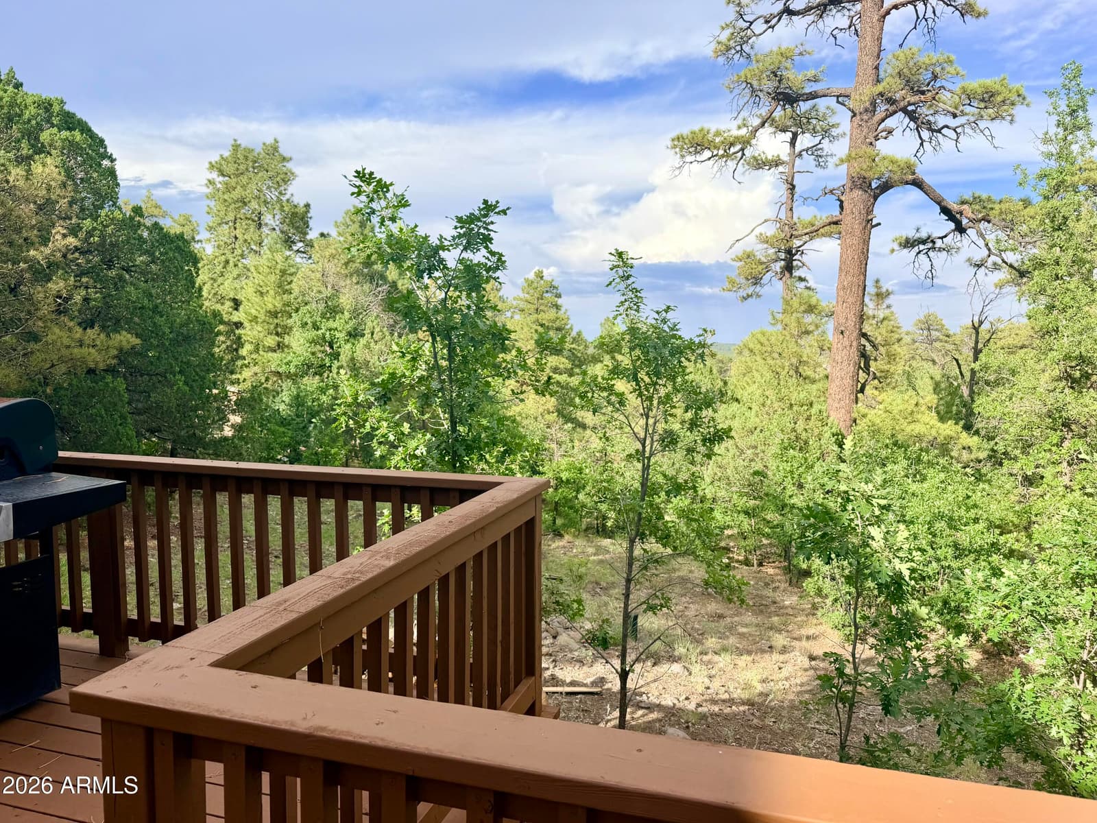 1584 Willow Mountain Road, Happy Jack, AZ 86024 — photo 6 of 37