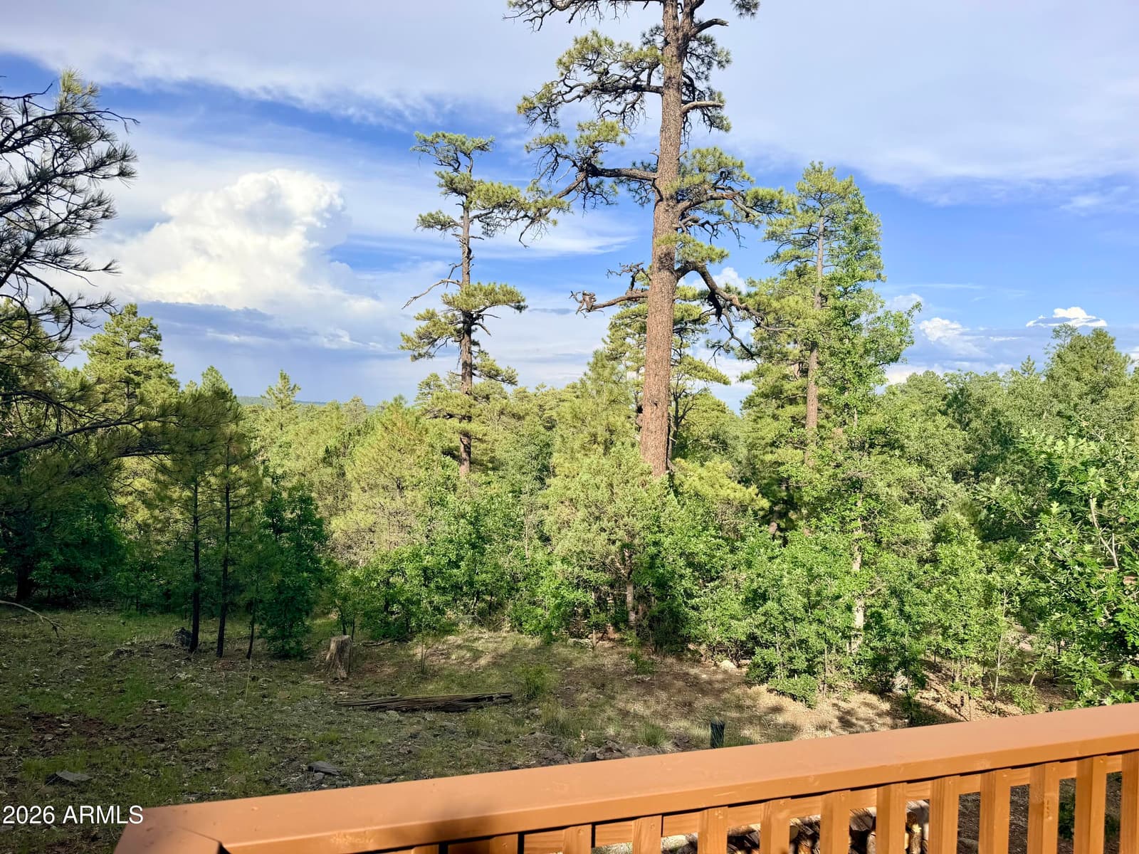 1584 Willow Mountain Road, Happy Jack, AZ 86024 — photo 3 of 37