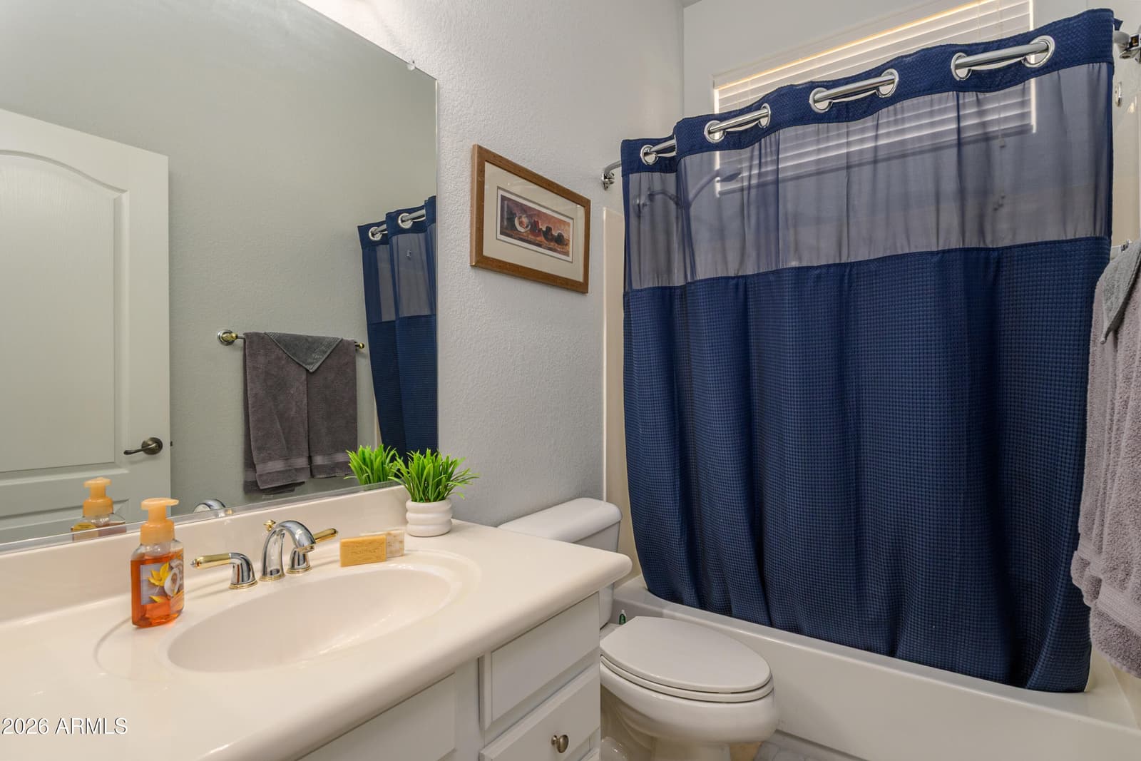 17950 W Camino Real Drive, Surprise, AZ 85374 — photo 25 of 32