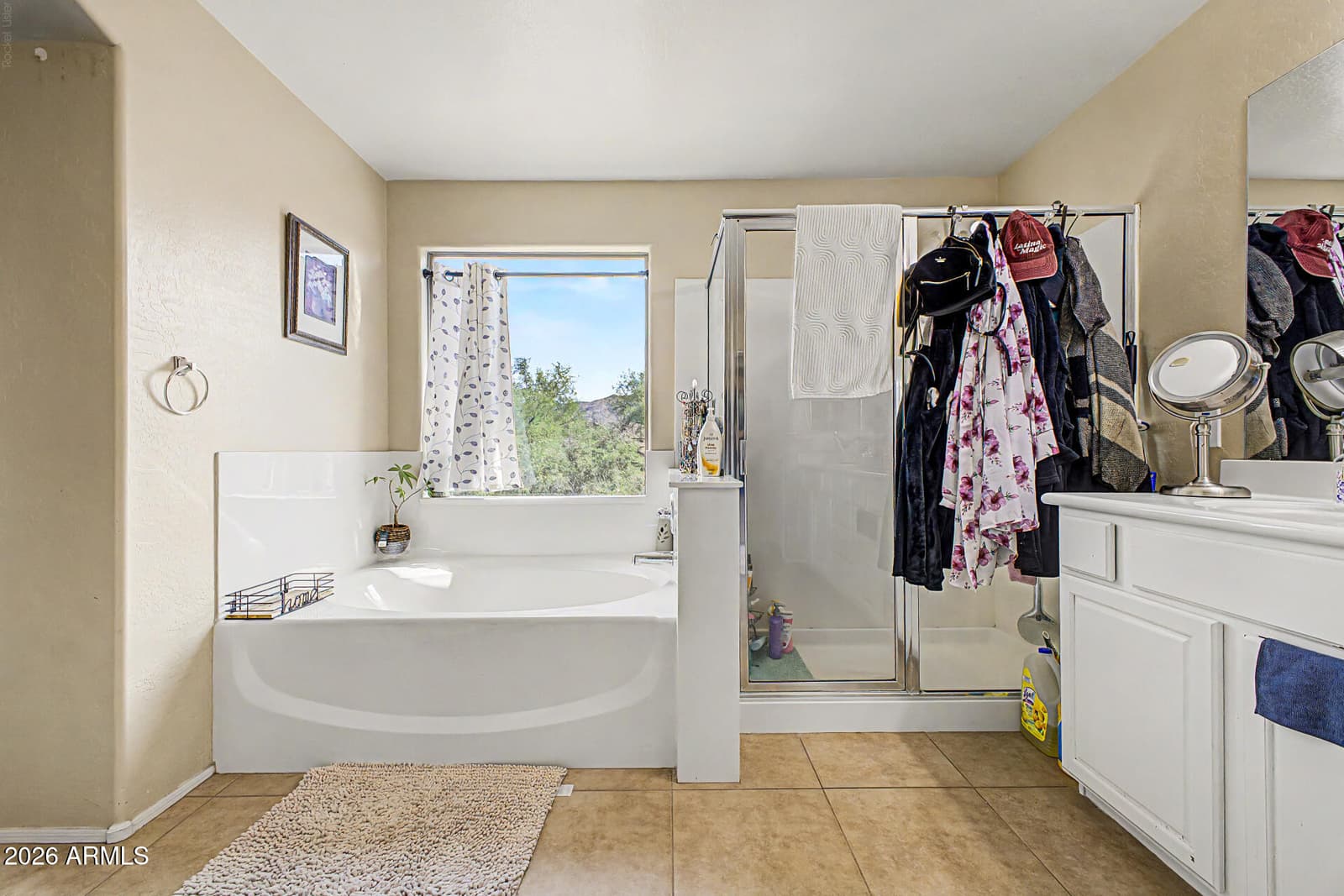 2141 W Ian Drive, Phoenix, AZ 85041 — photo 26 of 45