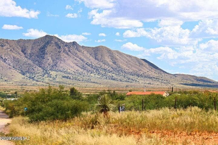 1917 N Montana Road, Dragoon, AZ 85609 — photo 44 of 46