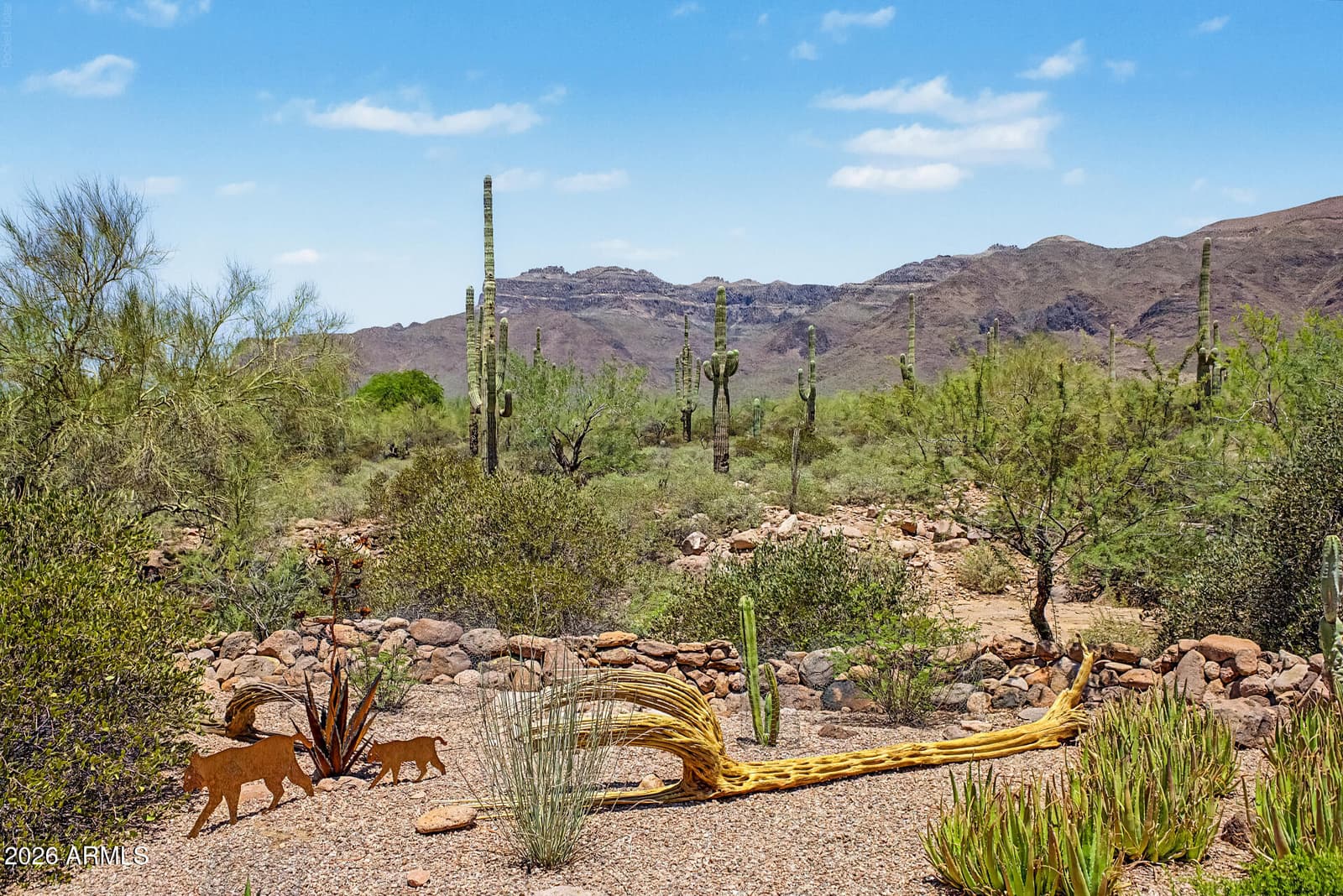 10196 E Open Sky Drive, Gold Canyon, AZ 85118 — photo 44 of 85