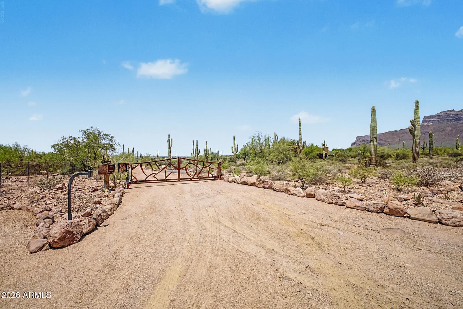 10196 E Open Sky Drive, Gold Canyon, AZ 85118 — photo 46 of 85