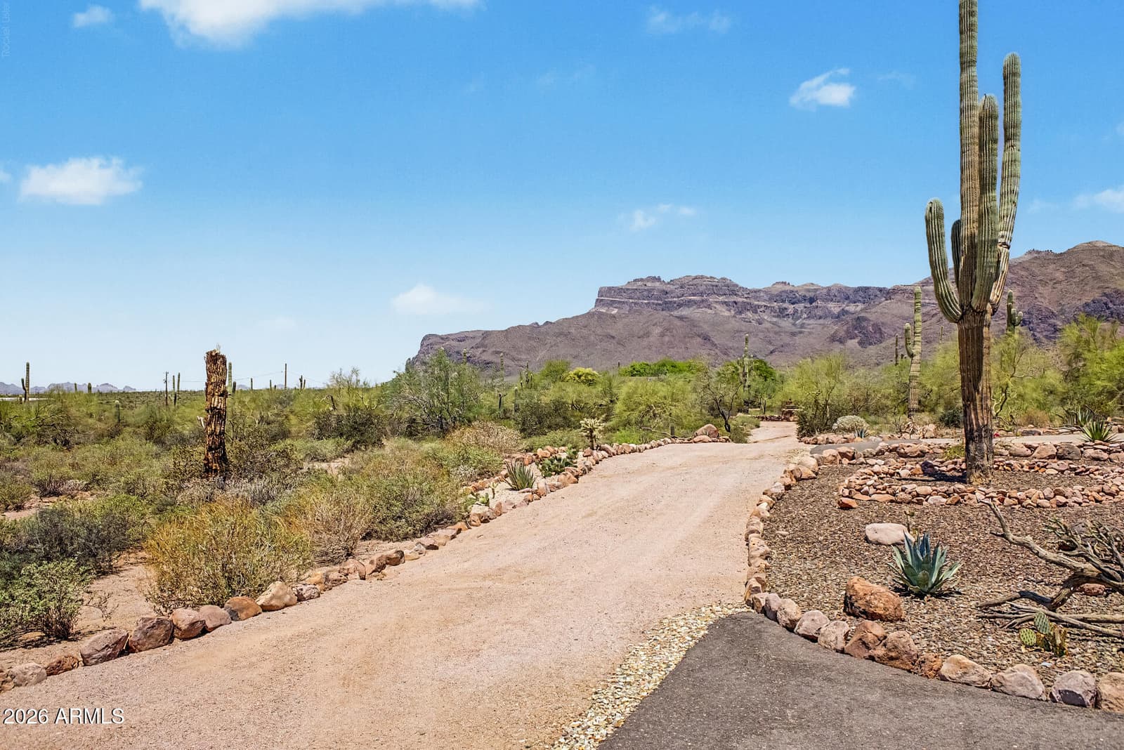 10196 E Open Sky Drive, Gold Canyon, AZ 85118 — photo 52 of 85