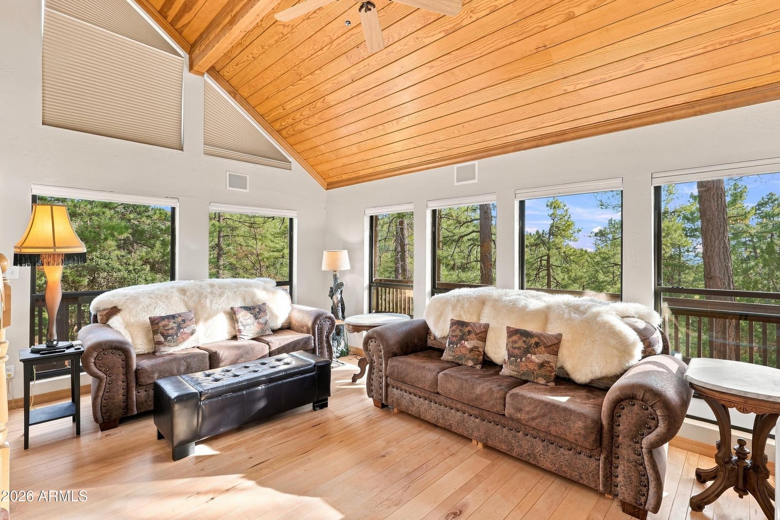 5237 N Dime Drive, Pine, AZ 85544 — photo 5 of 34