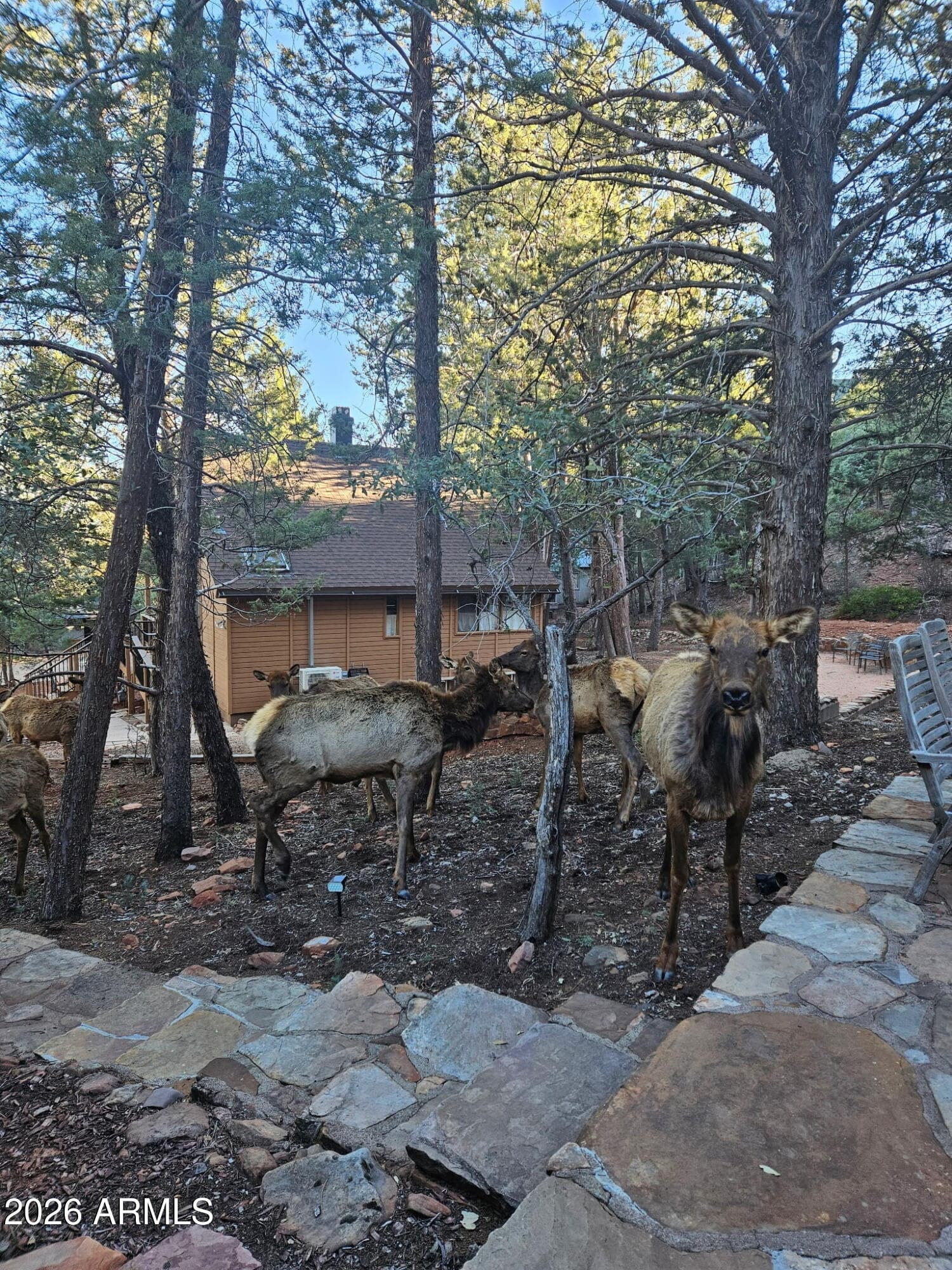 4508 N Chalet Drive, Pine, AZ 85544 — photo 38 of 43