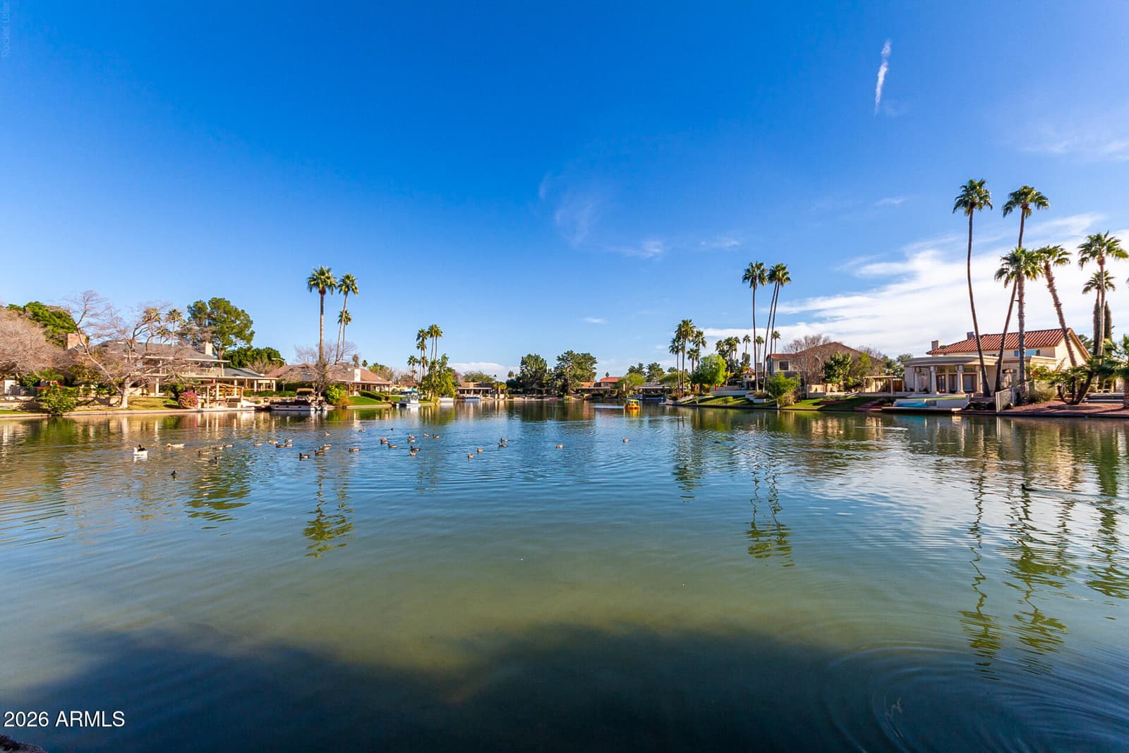 2031 W Madero Avenue, Mesa, AZ 85202 — photo 46 of 52