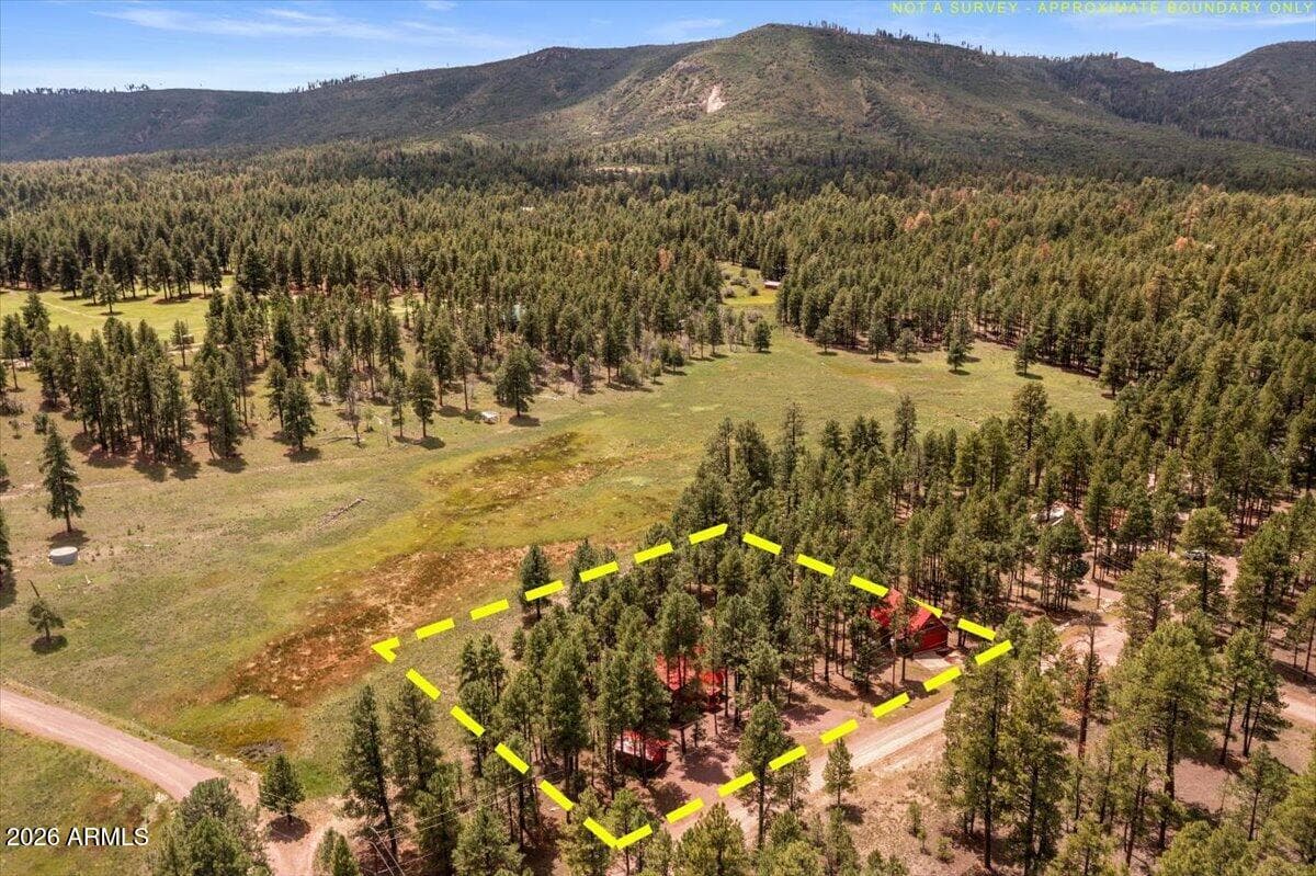 16 County Road 2271, Alpine, AZ 85920 — photo 59 of 62