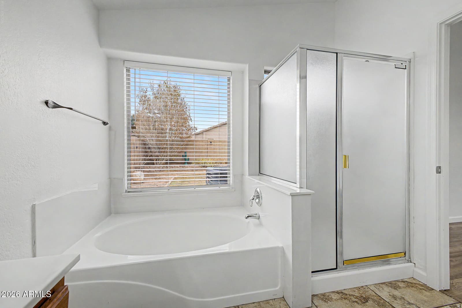 43924 W Cahill Drive, Maricopa, AZ 85138 — photo 18 of 41