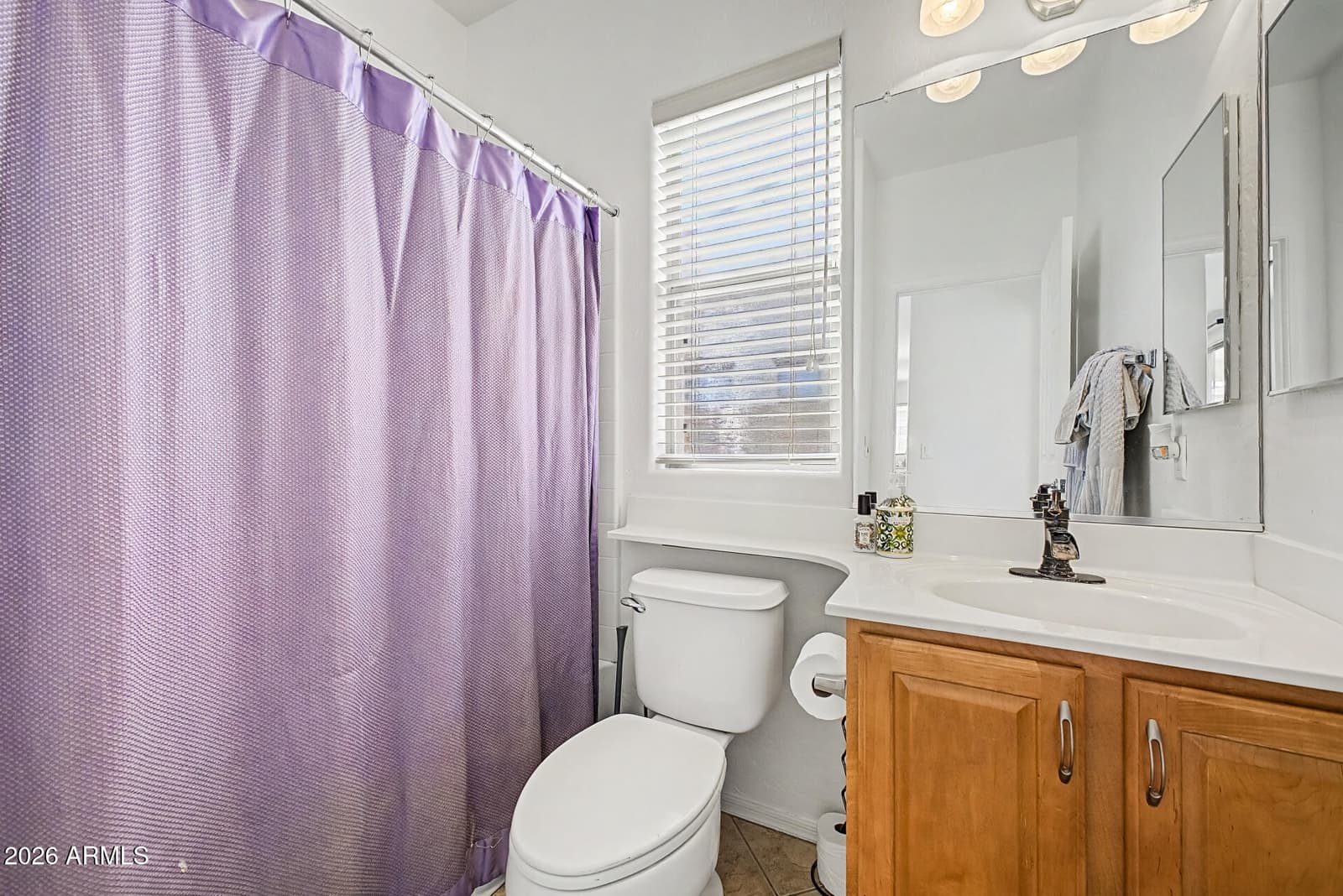 13845 W Ventura Street, Surprise, AZ 85379 — photo 10 of 19