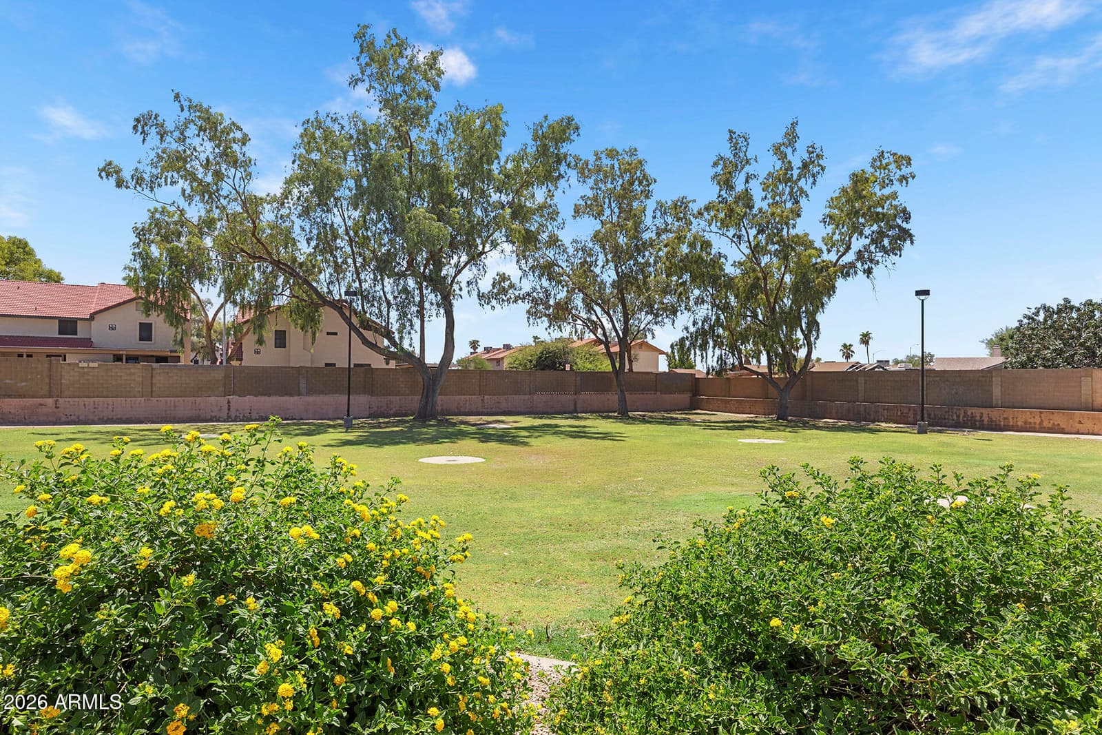 6325 E Gary Street, Mesa, AZ 85205 — photo 47 of 49