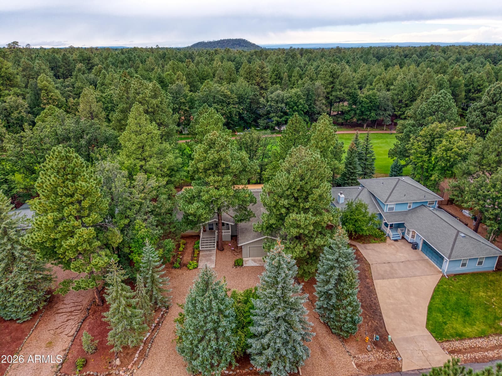 3618 Roaring Fork Drive, Pinetop, AZ 85935 — photo 3 of 40