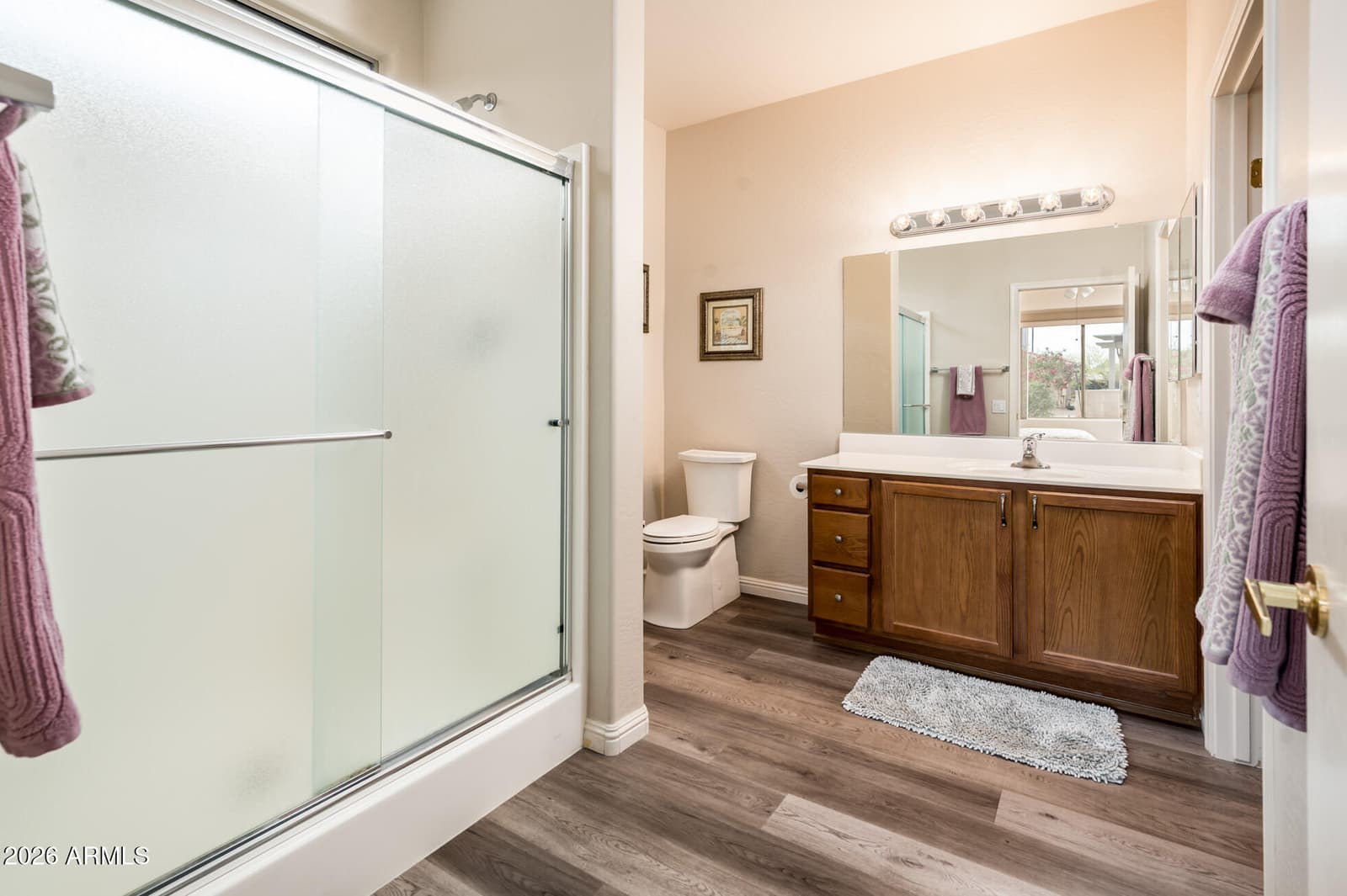 16710 W Ibarra Court, Surprise, AZ 85387 — photo 18 of 36