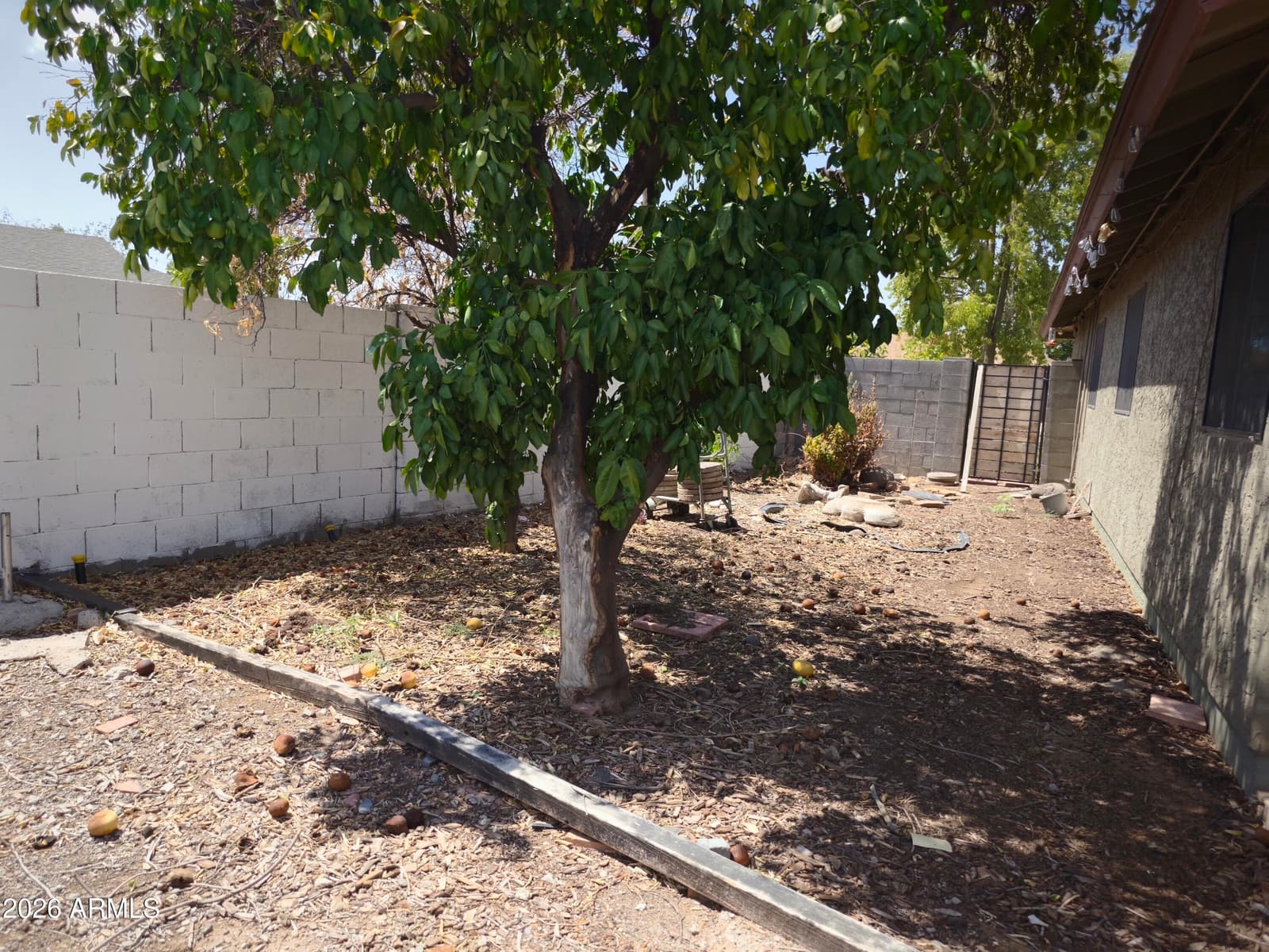 14819 N 63rd Avenue, Glendale, AZ 85306 — photo 36 of 53