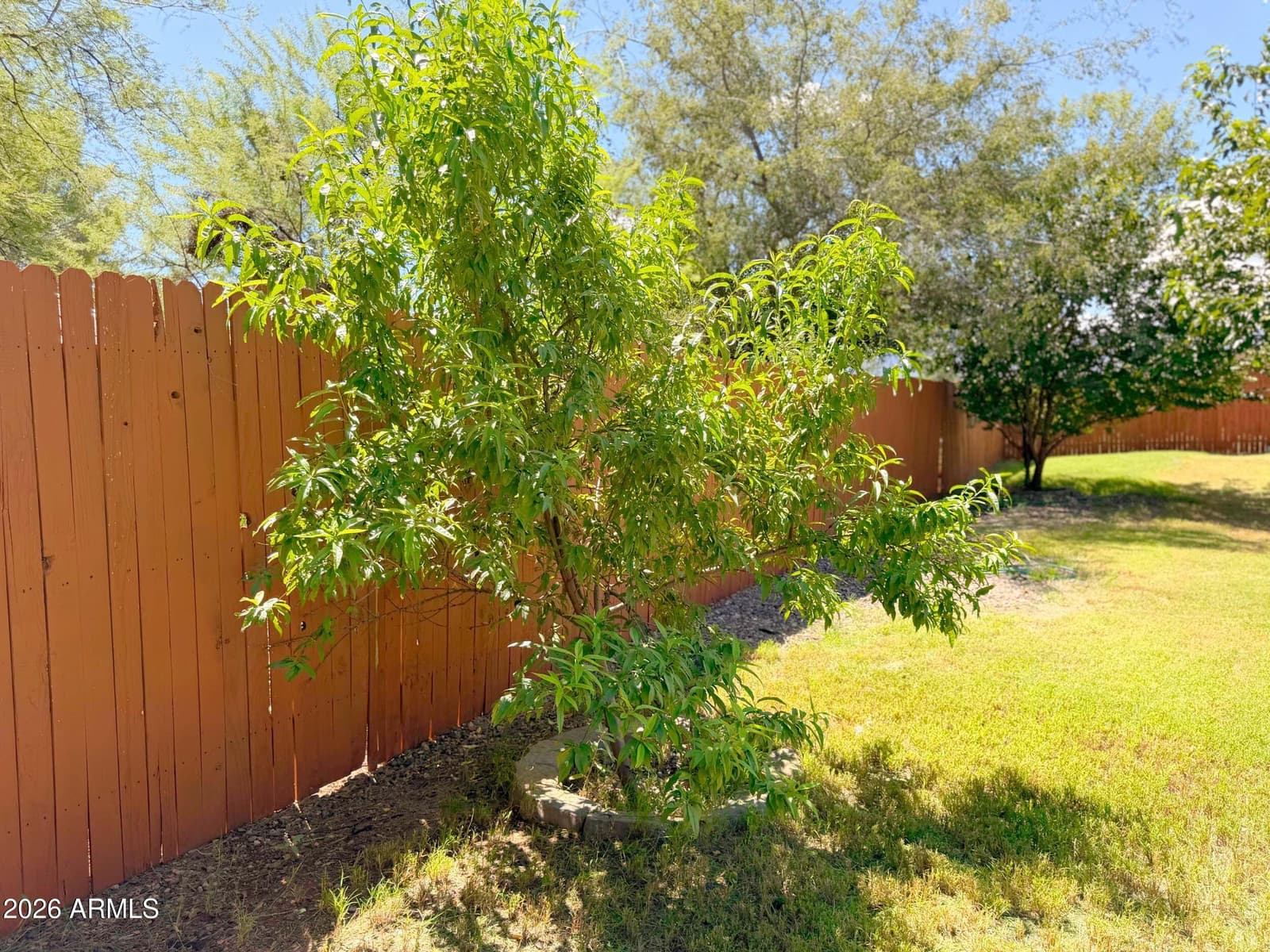 4381 E Butte Drive, Cottonwood, AZ 86326 — photo 22 of 32