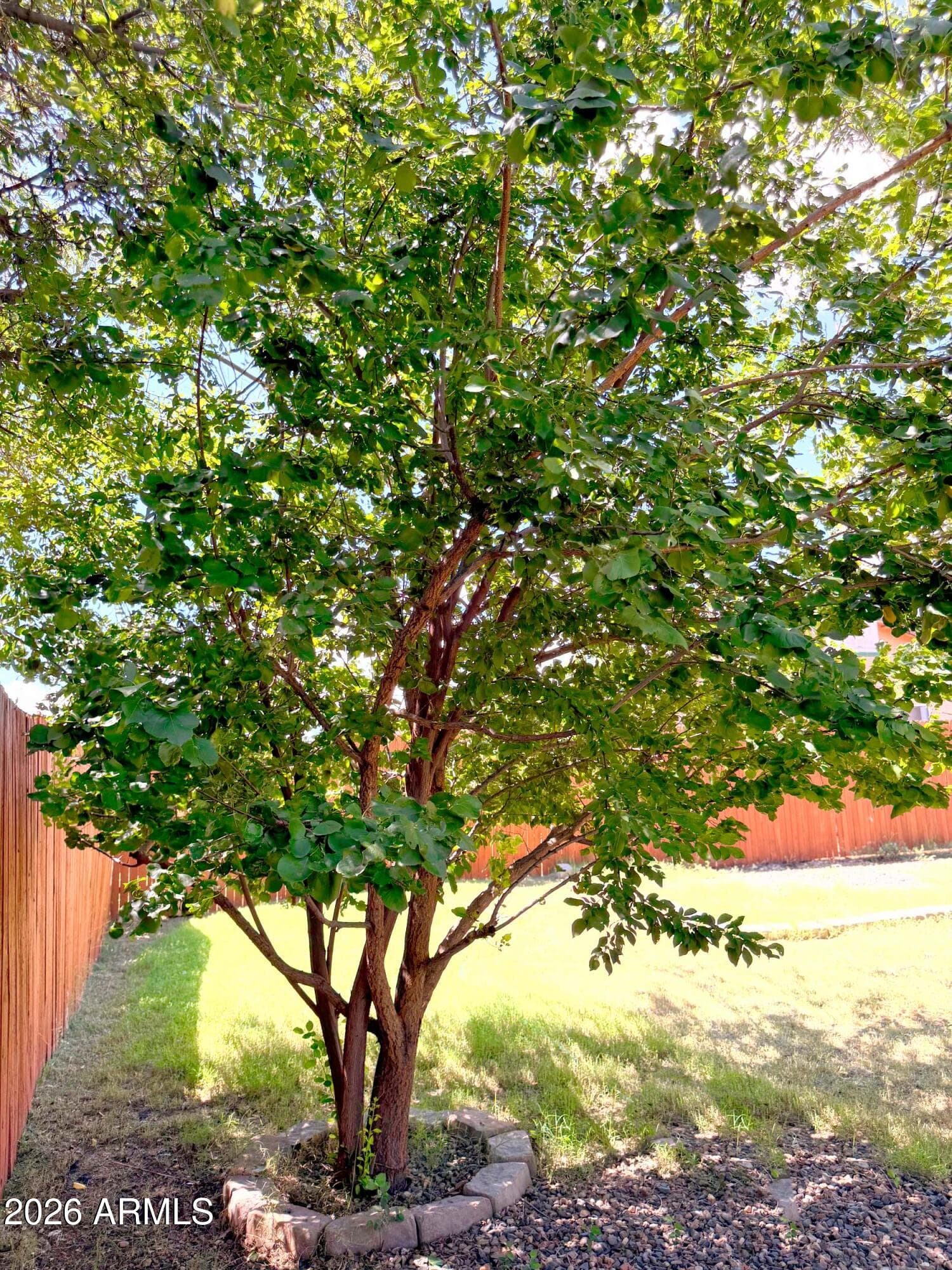 4381 E Butte Drive, Cottonwood, AZ 86326 — photo 27 of 32
