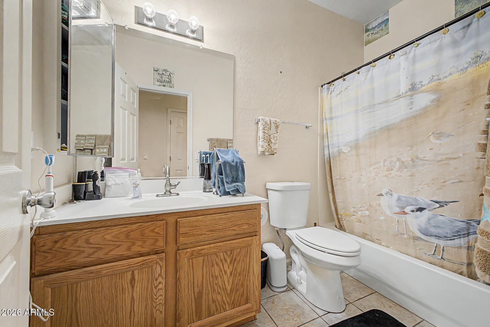 7355 E Lobo Avenue, Mesa, AZ 85209 — photo 26 of 30