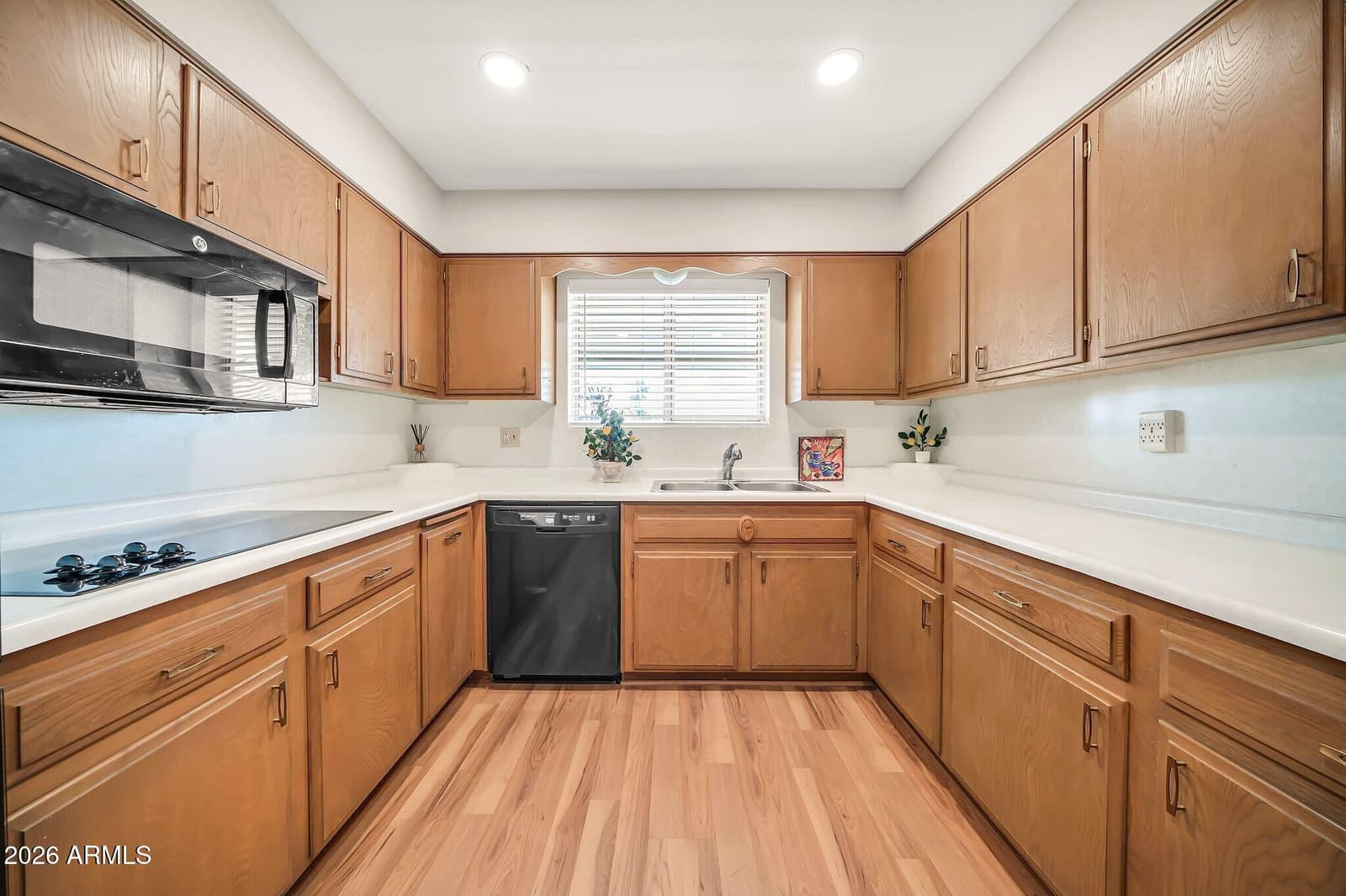 11045 W Salem Drive, Sun City, AZ 85351 — photo 5 of 90