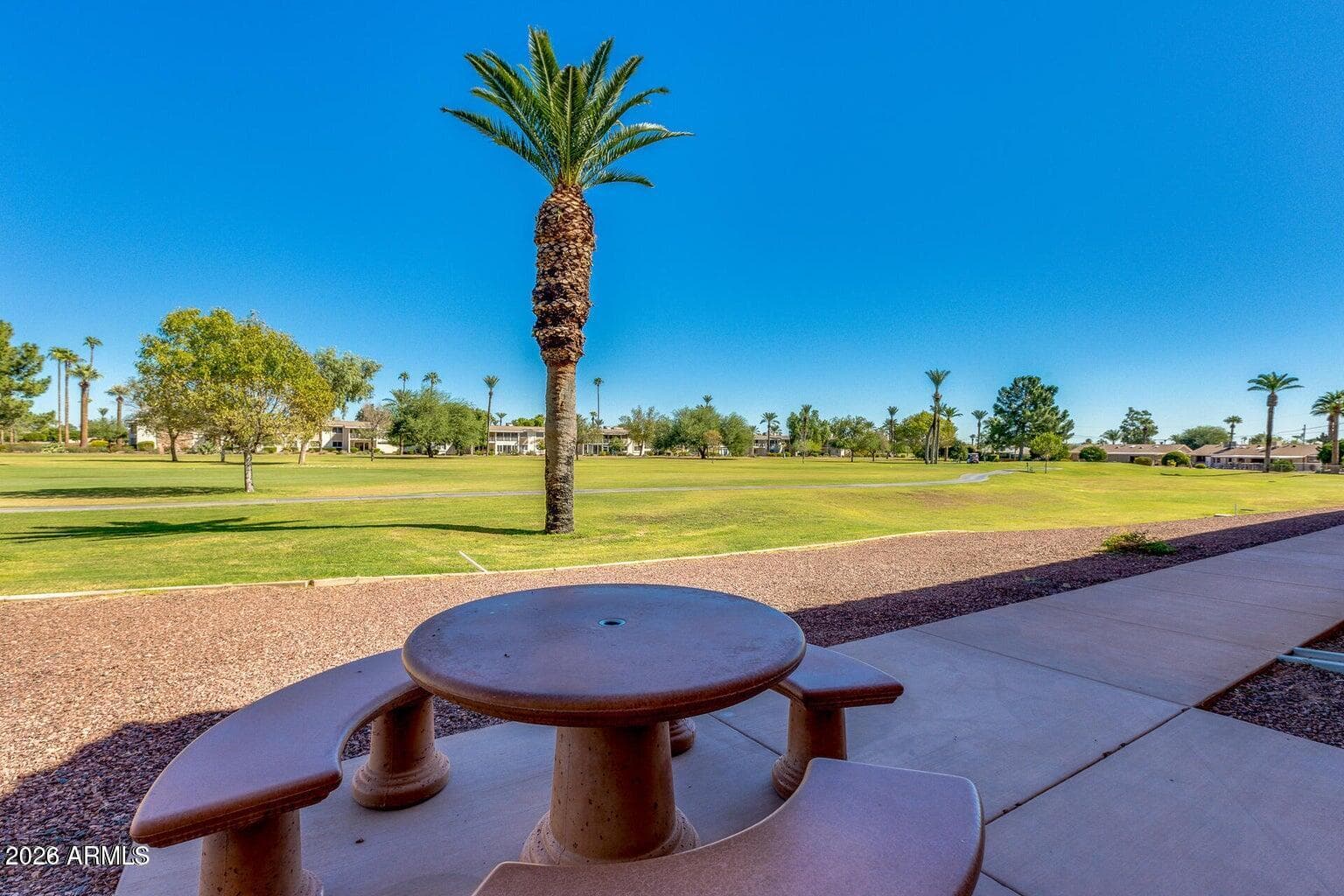 11045 W Salem Drive, Sun City, AZ 85351 — photo 65 of 90