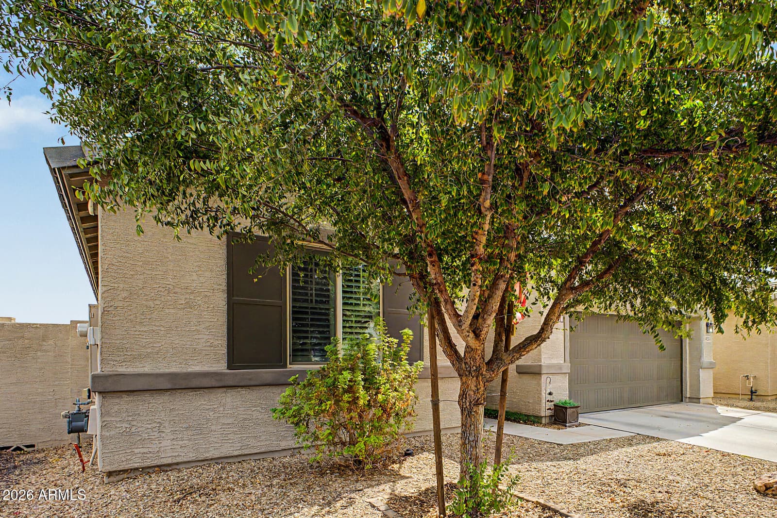 10231 W Levi Drive, Tolleson, AZ 85353 — photo 8 of 36