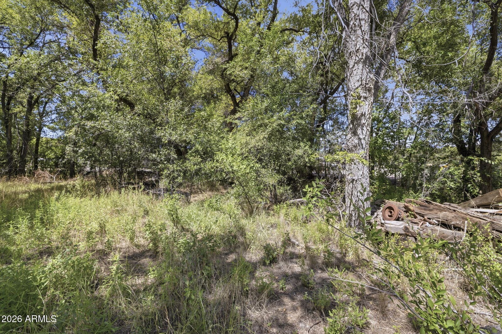 540 N Washington Avenue, Prescott, AZ 86301 — photo 51 of 52