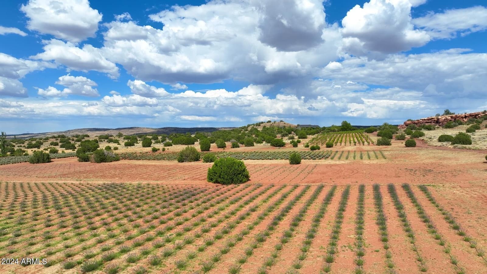 14 Cr 5309, Concho, AZ 85924 — photo 5 of 55