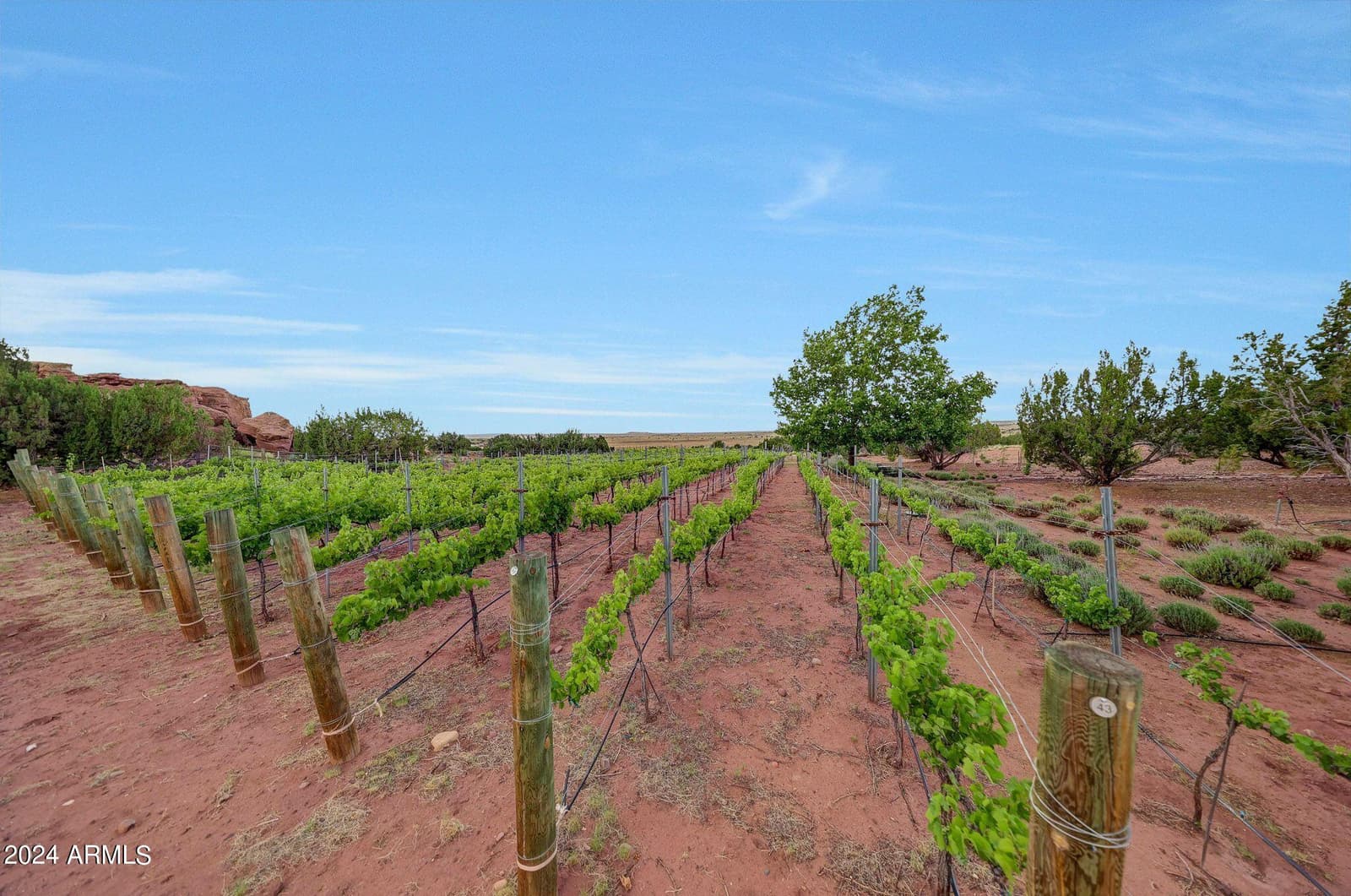 14 Cr 5309, Concho, AZ 85924 — photo 51 of 55