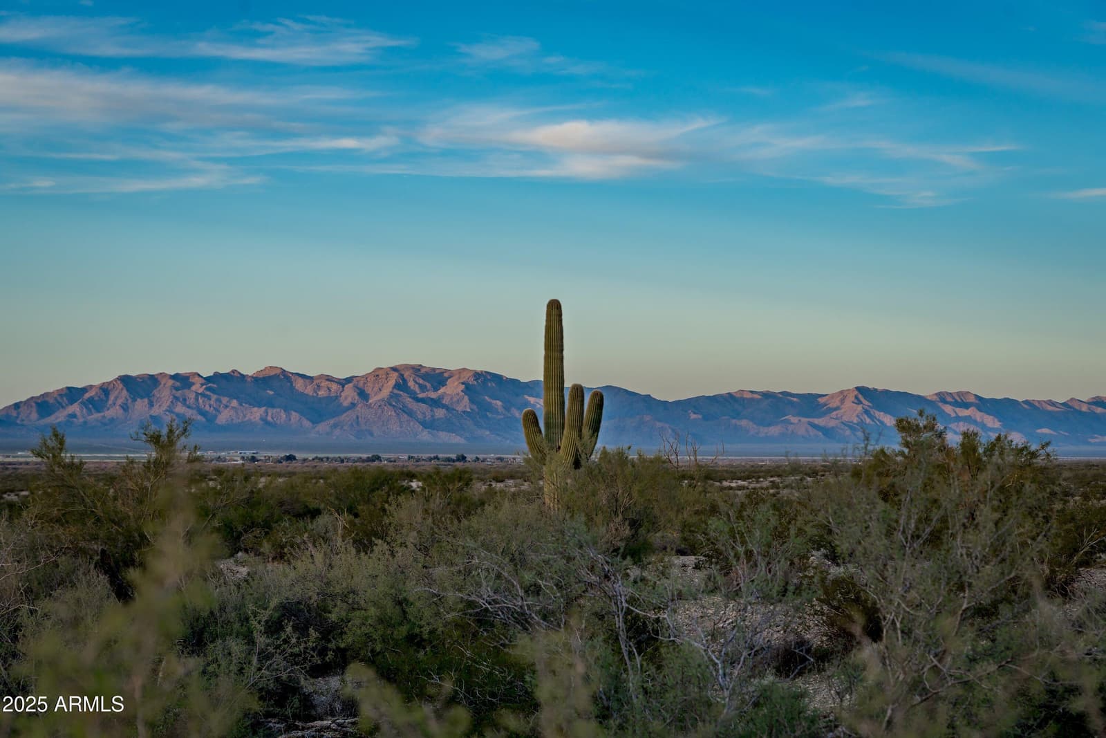 69182 N Centennial Park Road, Salome, AZ 85348 — photo 79 of 91