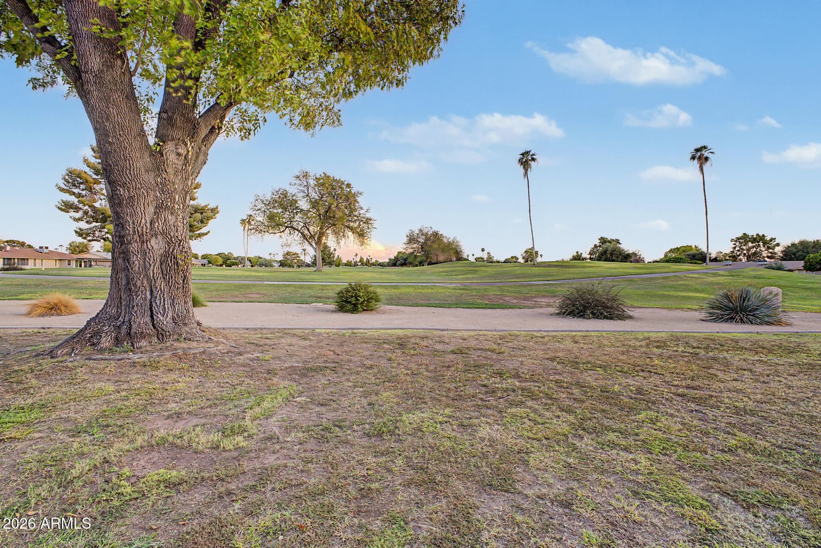10105 W Manzanita Drive, Sun City, AZ 85373 — photo 65 of 86