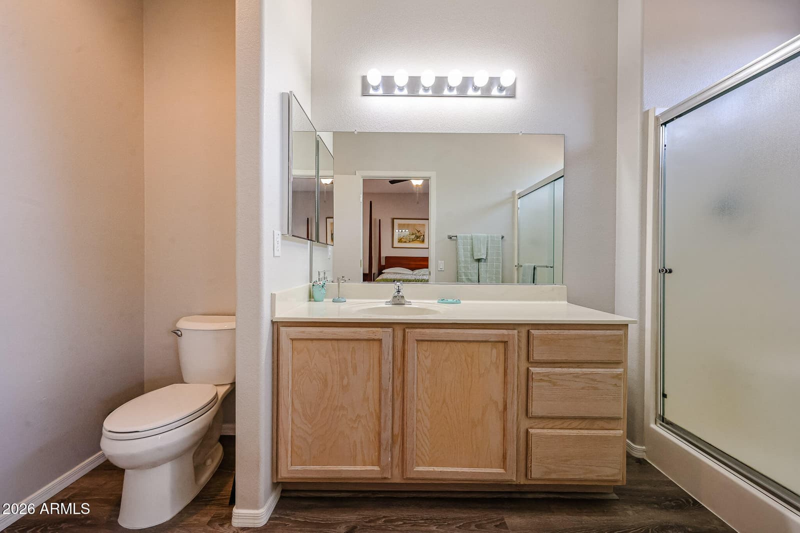 15974 W Quail Creek Lane, Surprise, AZ 85374 — photo 13 of 31