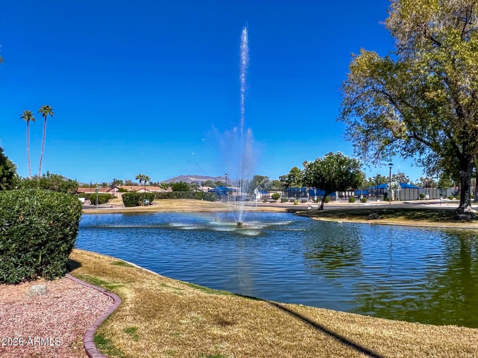843 Leisure World, Mesa, AZ 85206 — photo 14 of 55
