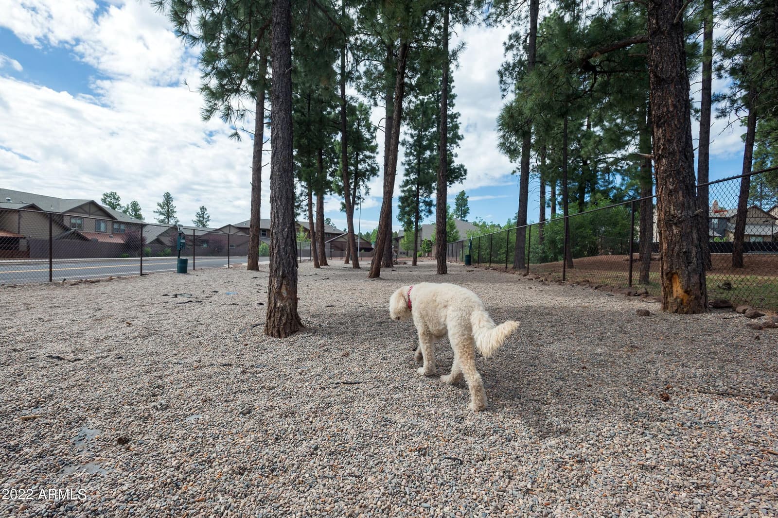 2944 S Camel Drive, Flagstaff, AZ 86001 — photo 48 of 54