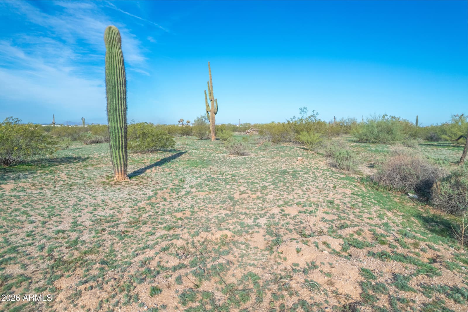 1850 E Cactus Forest Road, Florence, AZ 85132 — photo 14 of 14