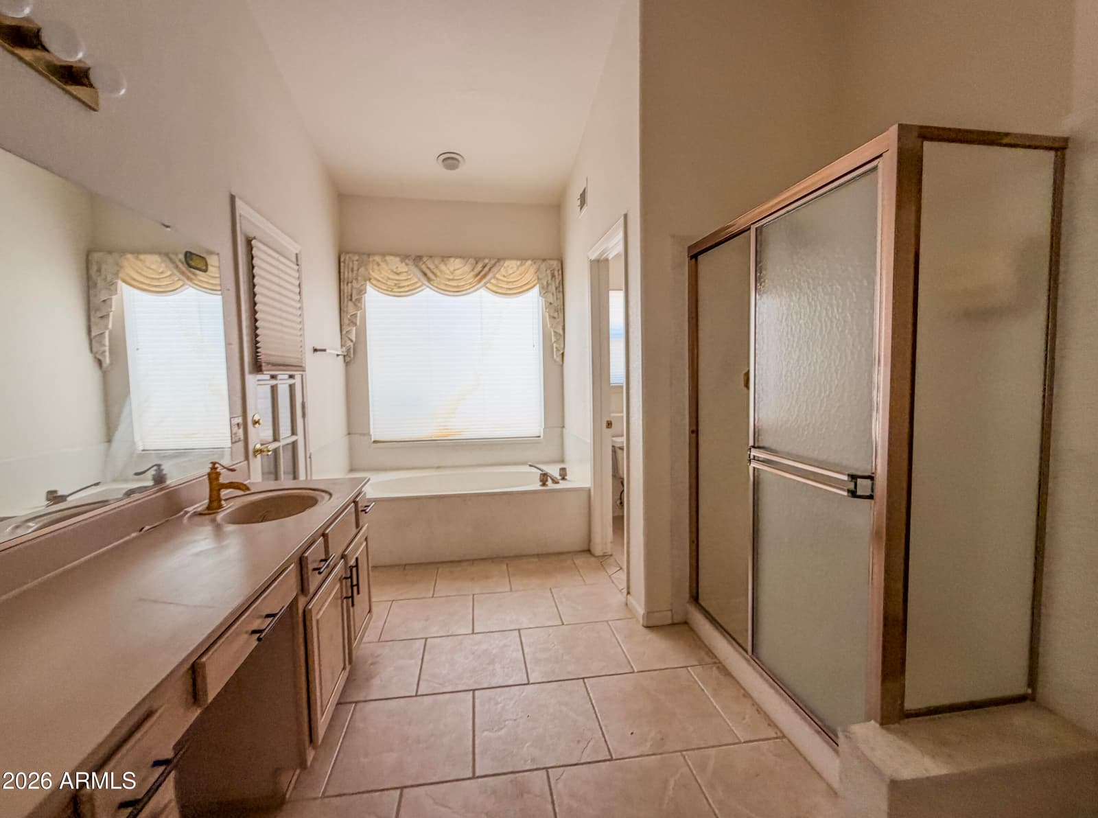 17898 W Cactus Flower Drive, Goodyear, AZ 85338 — photo 23 of 32