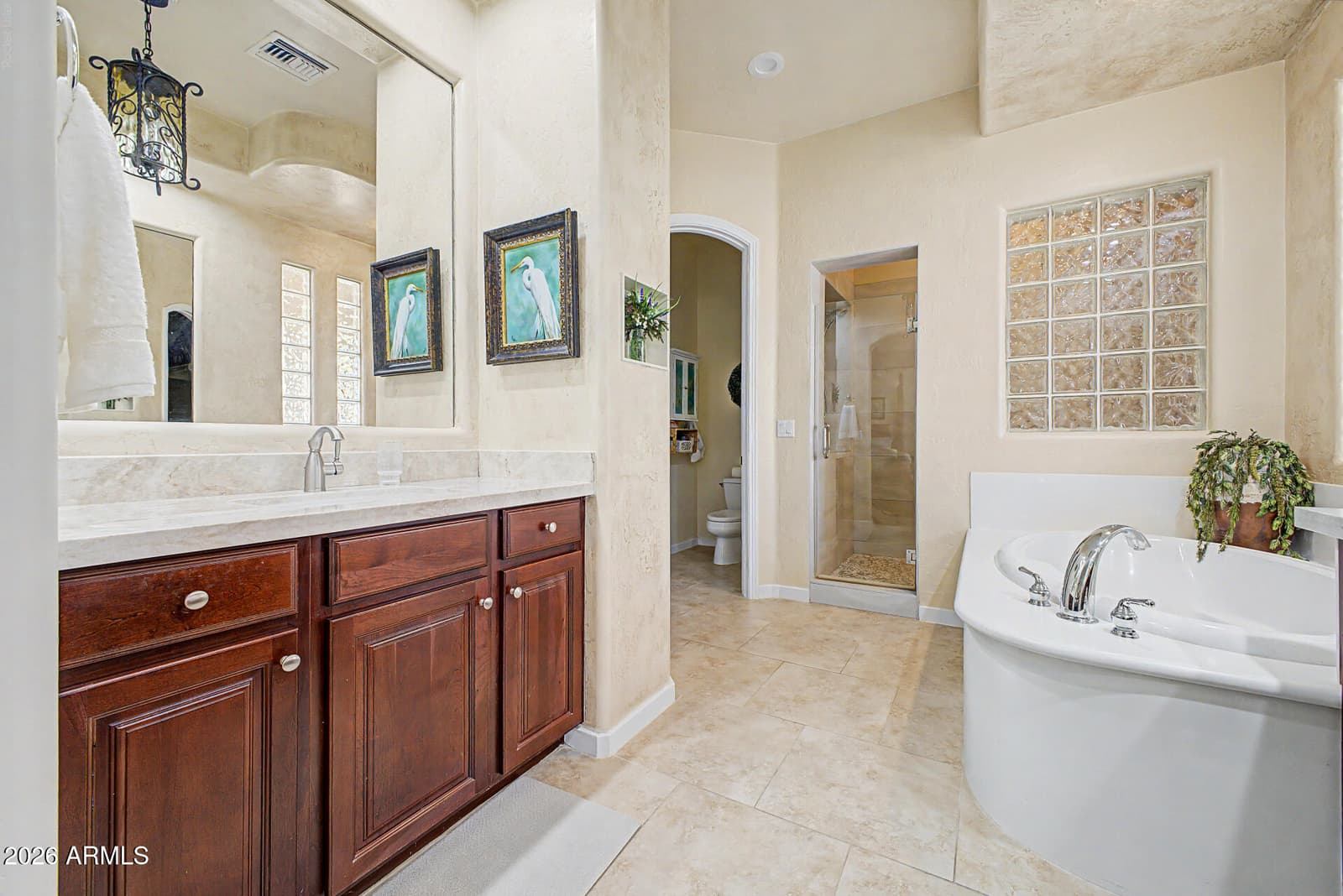 816 W Sycamore Court, Litchfield Park, AZ 85340 — photo 24 of 40