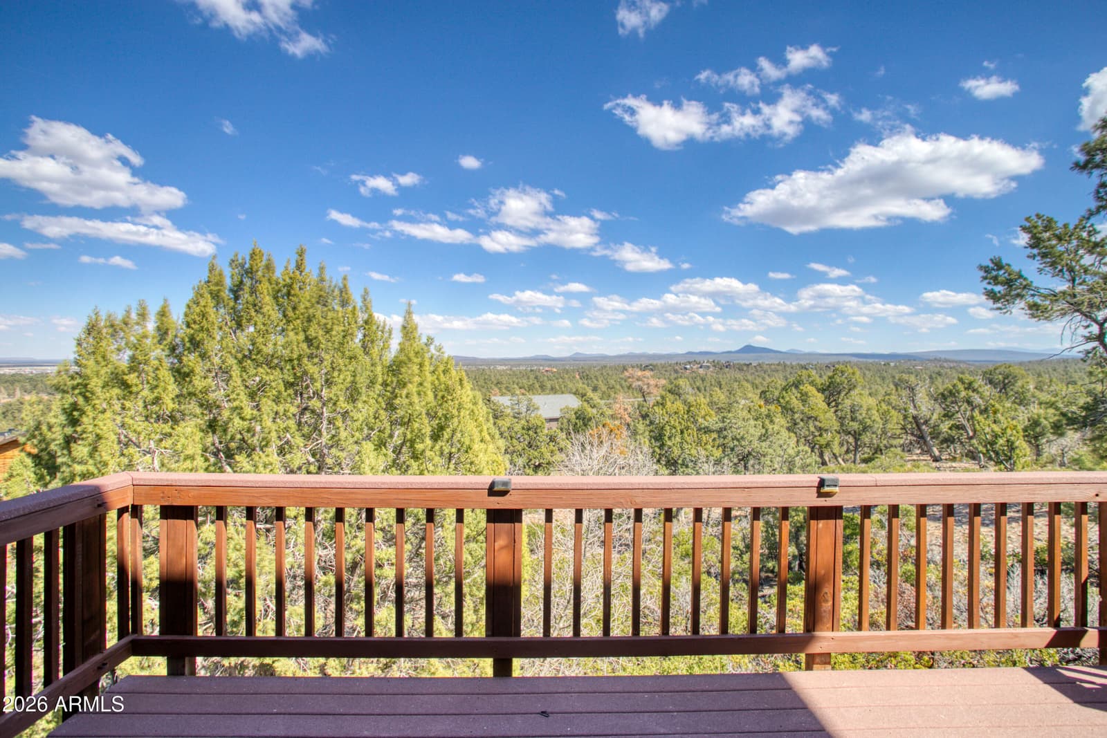 1511 S Canyon Ridge Trail, Show Low, AZ 85901 — photo 48 of 58