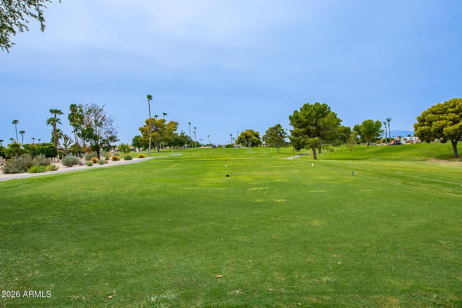 10105 W Manzanita Drive, Sun City, AZ 85373 — photo 24 of 86