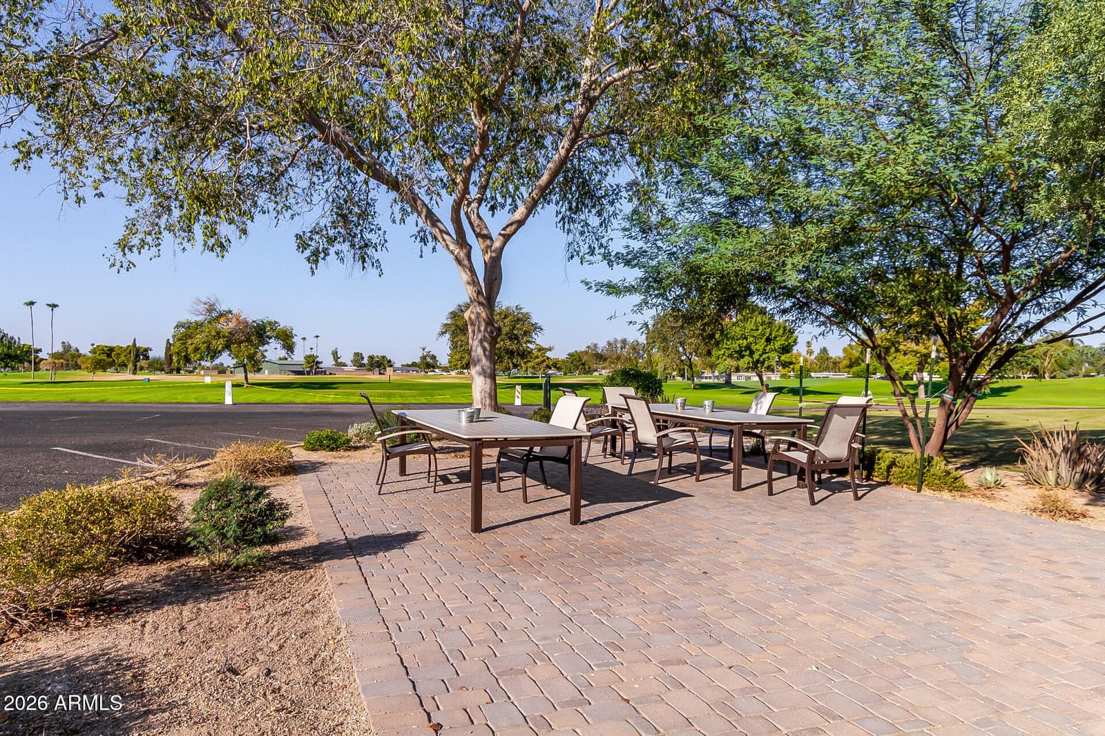 10105 W Manzanita Drive, Sun City, AZ 85373 — photo 85 of 86