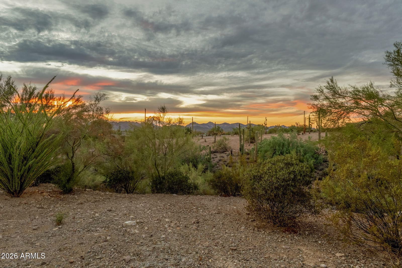 2564 N Charlebois Road, Apache Junction, AZ 85119 — photo 125 of 155