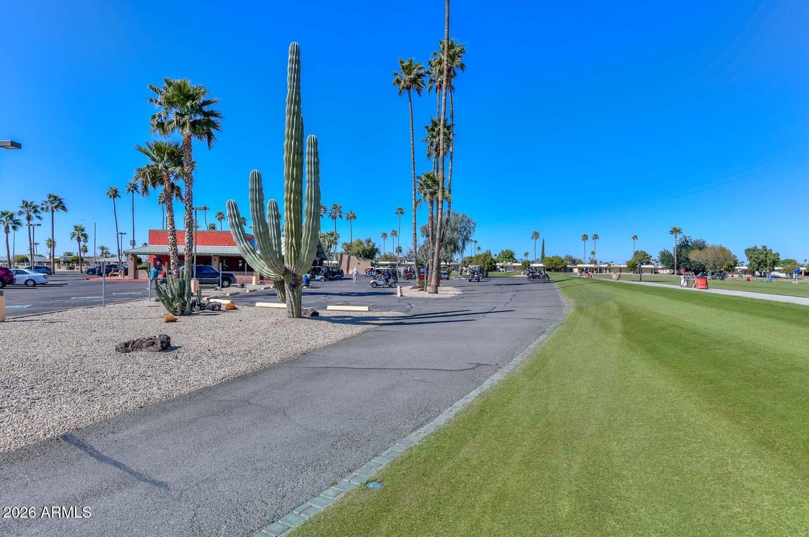 11646 N 105th Avenue, Sun City, AZ 85351 — photo 60 of 61