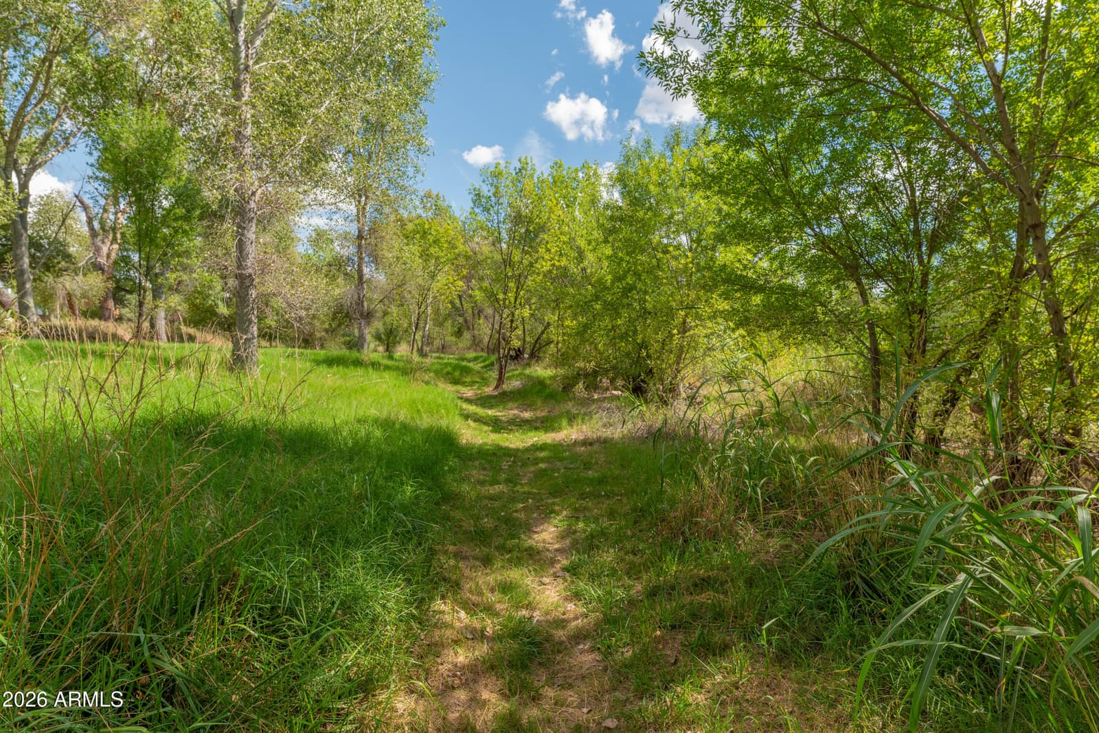 10710 E Quail Run Road, Cornville, AZ 86325 — photo 45 of 61