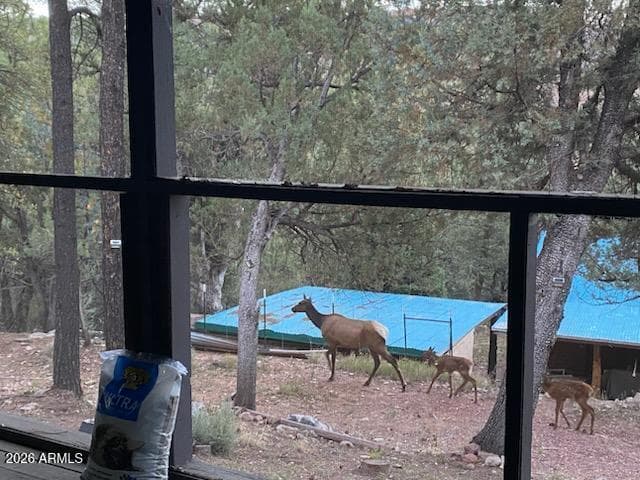 3483 N Hillside Road, Pine, AZ 85544 — photo 11 of 27