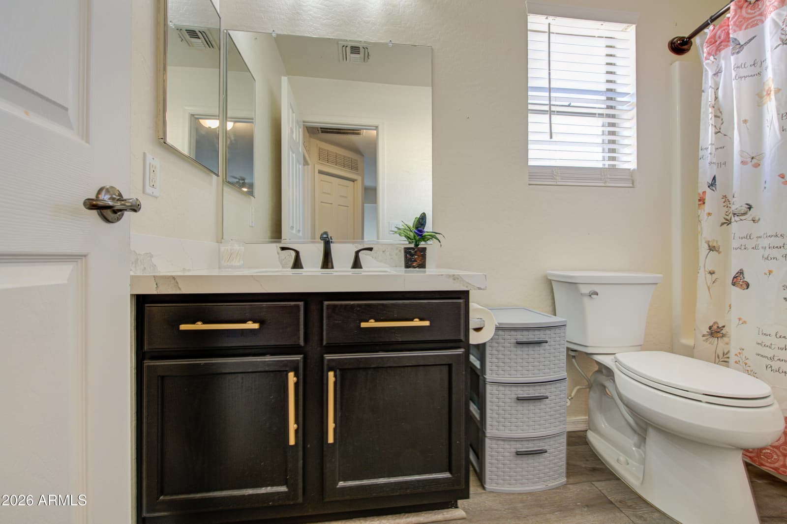 23756 W Pecan Road, Buckeye, AZ 85326 — photo 15 of 18