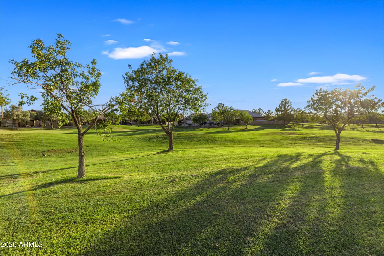 9807 E Lompoc Avenue, Mesa, AZ 85209 — photo 102 of 136