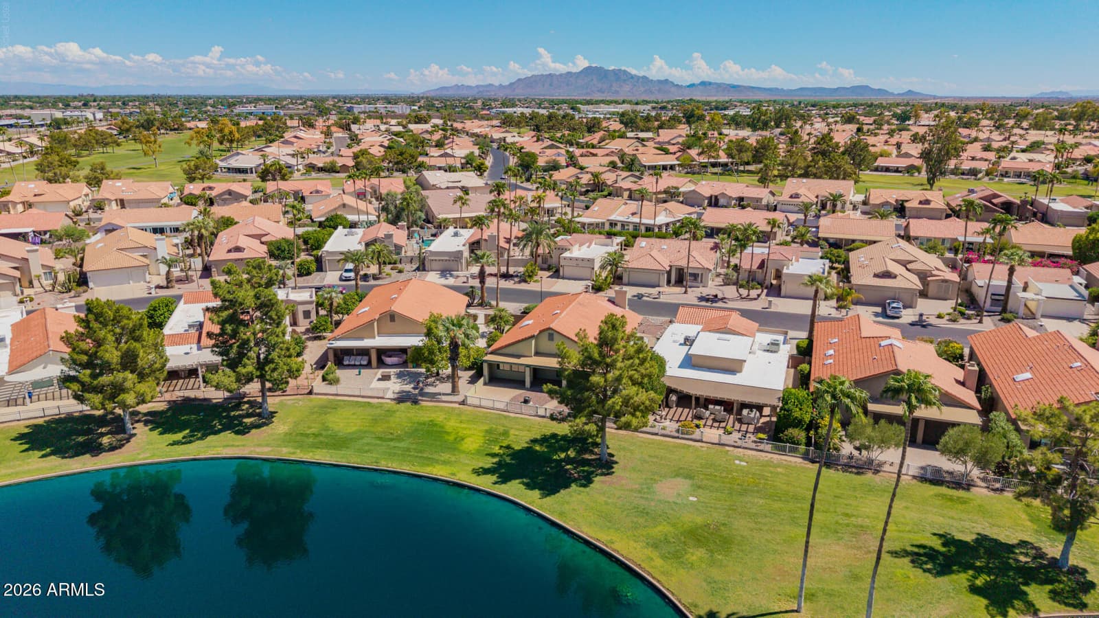 25228 S Cloverland Drive, Sun Lakes, AZ 85248 — photo 49 of 59