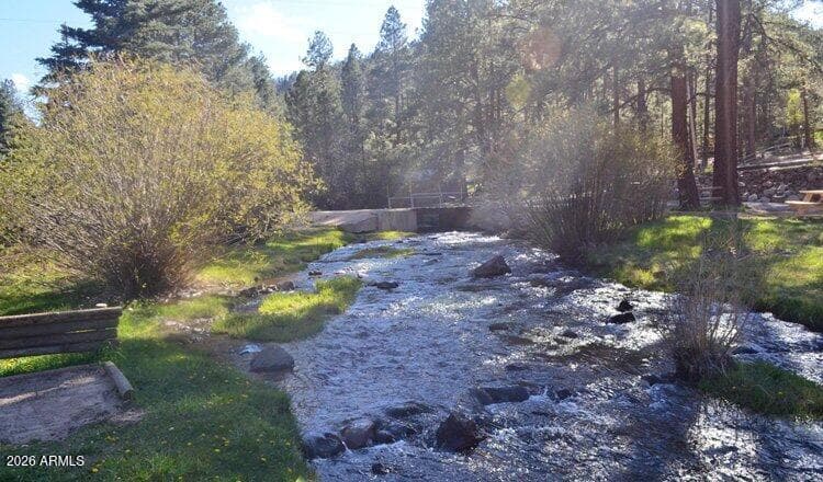 32 1009 Unit 10 (Cabin 90), Greer, AZ 85927 — photo 12 of 21