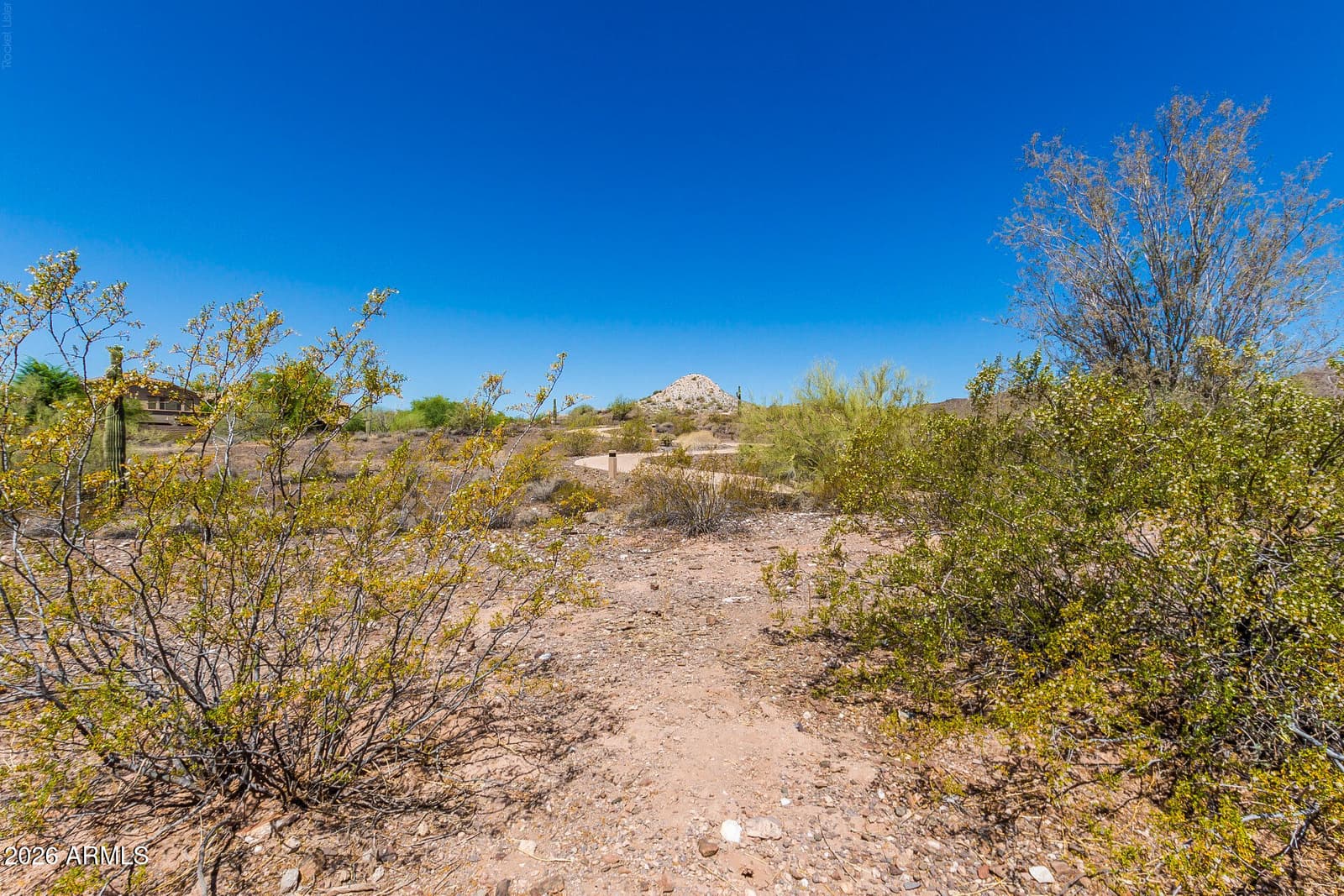 13742 W Chucks Avenue, Peoria, AZ 85383 — photo 40 of 49