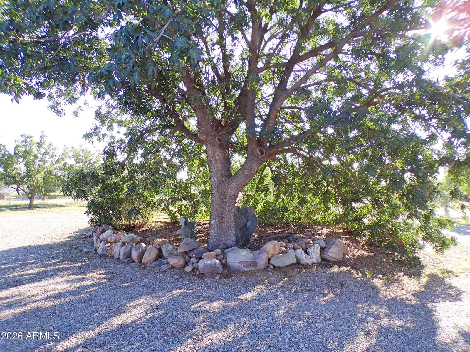 5760 S Mesquite Tree Lane, Hereford, AZ 85615 — photo 6 of 40