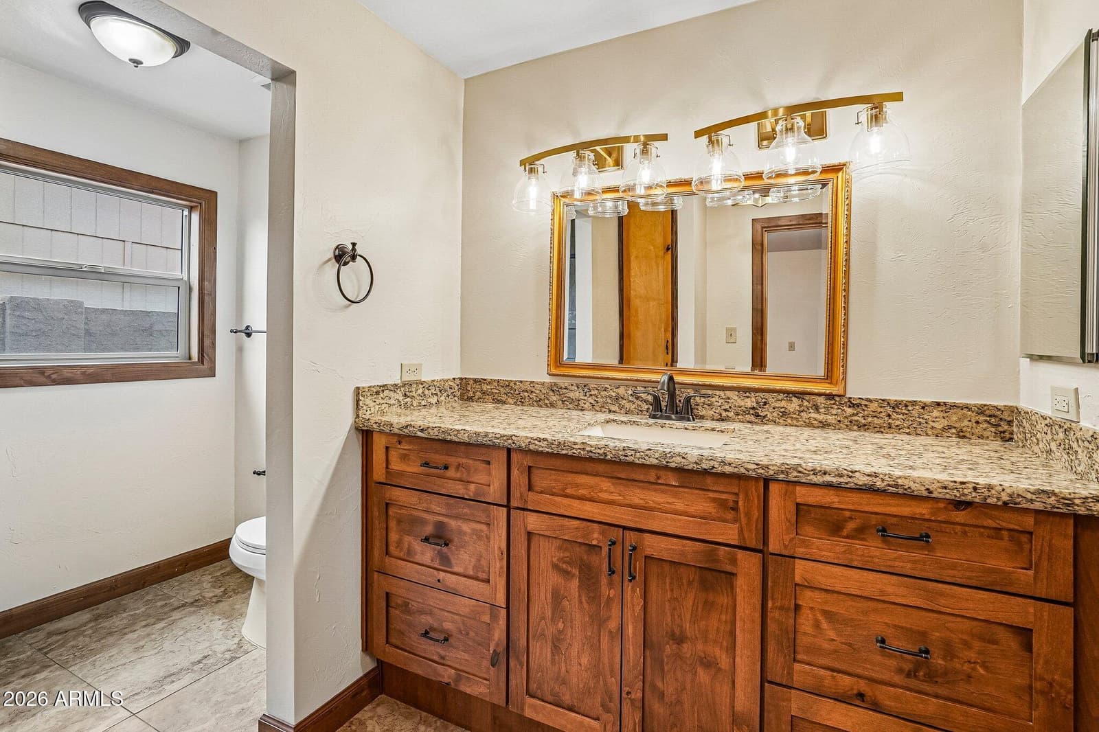 12103 S Tomi Drive, Phoenix, AZ 85044 — photo 19 of 30